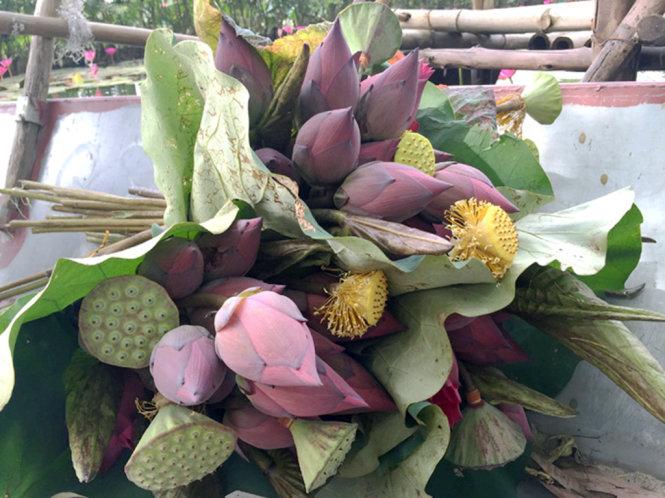 Mang sen về thành phố - Ảnh: Băng Giang
