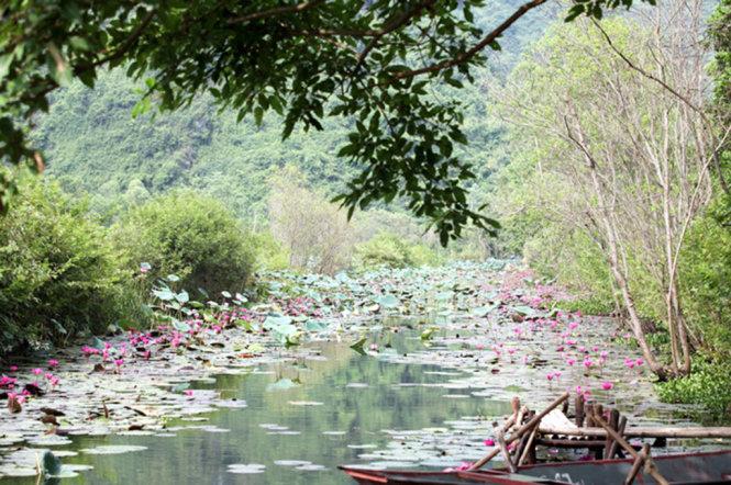 Một góc lãng mạn và bình yên - Ảnh: Thái Anh