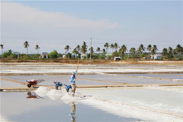 Mỗi năm, người dân sẽ làm muối 6 tháng nắng gắt, 6 tháng còn lại nuôi tôm.