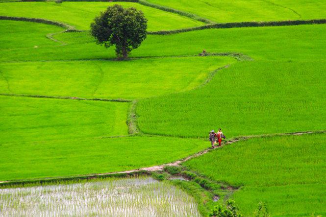 Dáng vẻ thong dong của hai phụ nữ đang trên đường từ ruộng về nhà sau buổi lao động vất vả