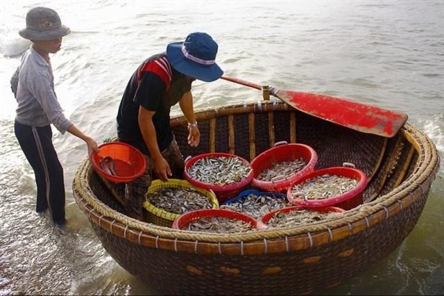 Tại đây, bạn có thể thưởng thức hải sản tươi sống mua tại các thuyền chài lúc vừa cập bến với giá rẻ. Ảnh: ST