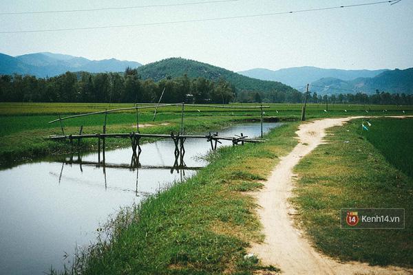 Dù là vùng đất của biển, nhưng nó không thiếu những hình ảnh đậm chất nông thôn yên bình như thế này.
