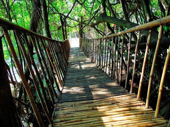 Cầu treo ở trong Bản Đôn. -Ảnh: k6bc11r