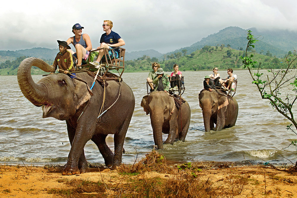 Du khách thích thú khi cưỡi voi vượt sông. Ảnh: vietnamtourism
