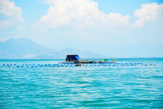 Du khách cũng có thể tự chèo thuyền đến thăm, chụp ảnh lưu niệm tại các làng bè nuôi cua biển và tôm hùm.