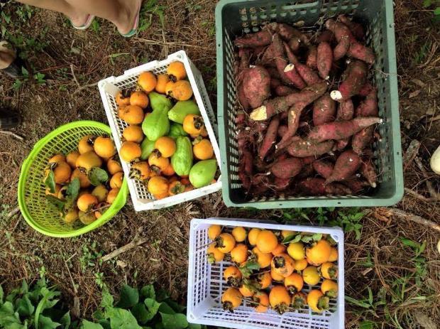 Thành quả của chuyến đi.
