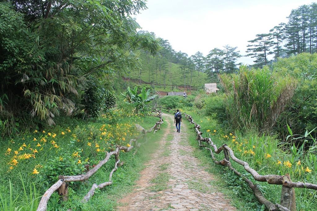 Từ xa nhìn lại, trong như một bức tranh sơn thủy hữu tình, được thêu dệt với những mảng màu xanh ngắt của những cánh rừng, hồ nước cùng với những sắc vàng, đỏ của hoa, những mái nhà dân tộc K’ho thấp thoáng, hòa trong tiếng reo hò vui vẻ, tiếng í ới gọi nhau của du khách. Những lối đi tràn ngập hoa cỏ tươi tốt, khiến khung cảnh thơ mộng lại càng xinh tươi hơn. Ảnh: Phước Bình.