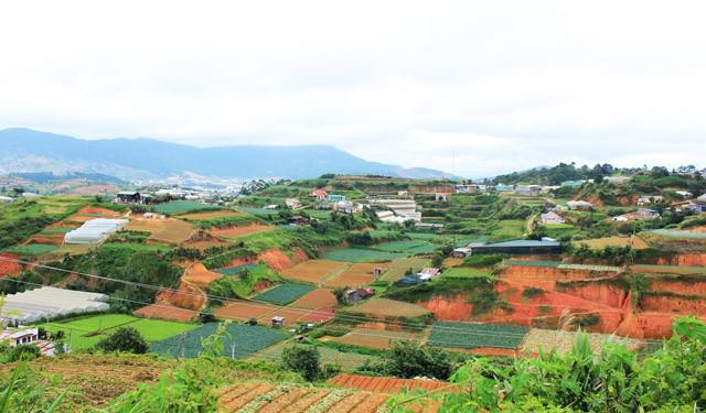 Thung lũng vườn rau xanh trên đường đến Thung lũng Vàng