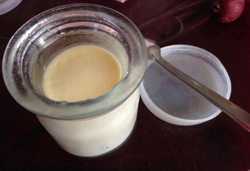 Sữa chua phô-mai Đây là món ăn được nhiều bạn trẻ “truy tìm” khi đến Đà Lạt, được làm như sữa chua thông thường nhưng khéo léo cho thêm phô-mai trong nguyên liệu. Sữa chua phô-mai có vị béo, dẻo, chua chua, được bán ở một gia đình rất nổi tiếng ở đường Khe Sanh, với giá 7.000 đồng một hũ.