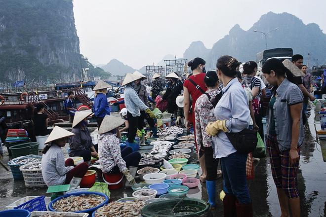 Trên bến tàu cảng, du khách có thể tham gia vào hoạt động buôn bán của người dân từ sáng sớm. Những giỏ cá tôm chất đầy được vận chuyển liên tục. Khung cảnh người mua người bán cùng với âm thanh gọi mời tạo nên một bức tranh sinh động. Bạn sẽ không còn cảm giác xa lạ khi hòa mình vào không khí tươi vui, trong trẻo tại bến cảng.