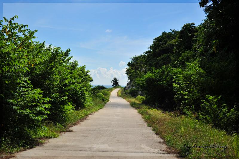 Đường bê tông trên đảo. Ảnh: Hovinhthang/ vnphoto.net