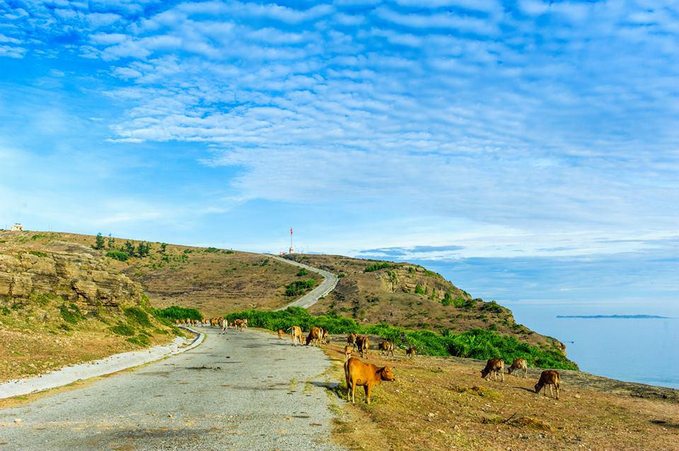 Khung cảnh bình yên trên đảo