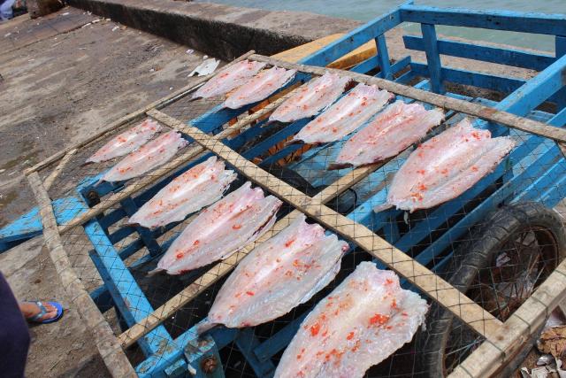 Cá biển phơi khô có ở mọi ngóc ngách của đảo.