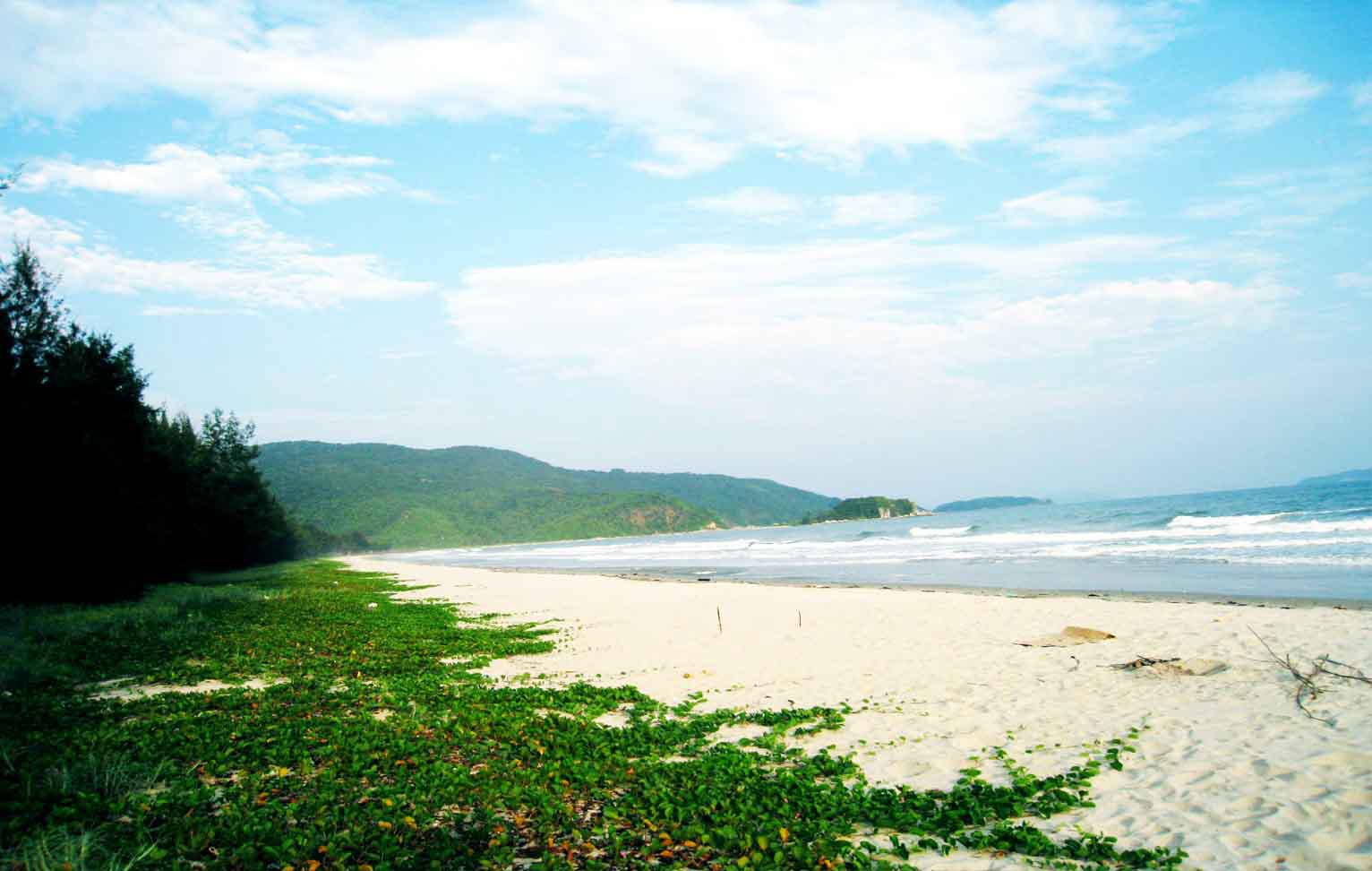 Bãi biển ở đây rất hoang sơ và hầu như chưa có sự can thiệp của các dịch vụ du lịch.  Ảnh: ST