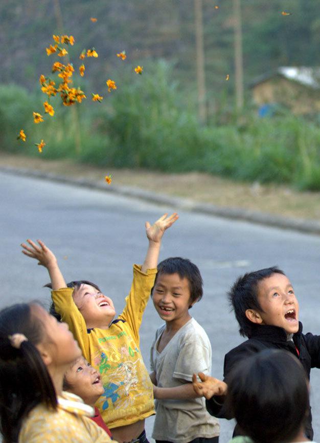 Tung hoa - Ảnh: Thủy Trần