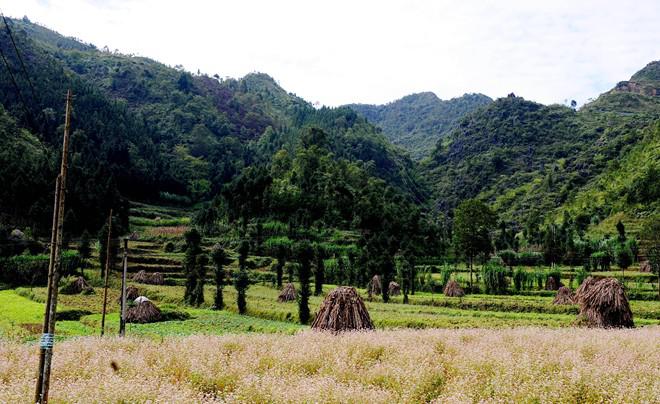 Những đụn rơm xen lẫn với cảnh sắc thiên nhiên hoang sơ giữa núi rừng hùng vĩ.