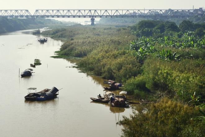 Cuộc sống của cư dân xóm chài ven sông cũng đồng điệu với vẻ đẹp tự nhiên của loài hoa cỏ này.