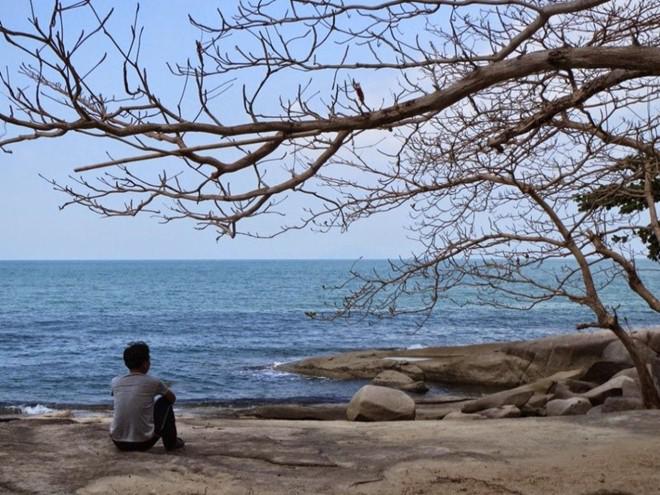 Bãi Thiên Tuế. Ảnh: Sói Phiêu Diêu.