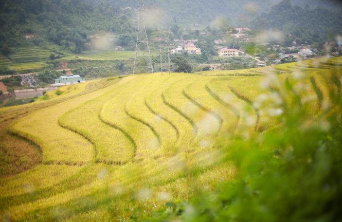 Ruộng bậc thang hữu tình bên trung tâm xã Mường Hum - Ảnh: Tiến Thành