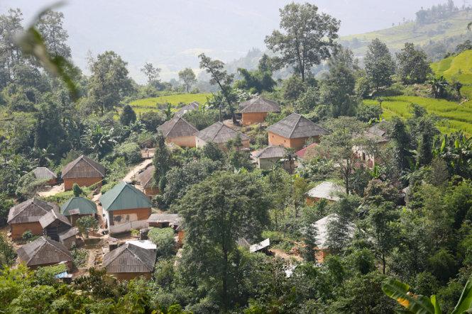Những căn nhà trình tường độc đáo của người Hà Nhì ở Y Tý nằm giữa màu xanh của cây, màu vàng của lúa - Ảnh: Tiến Thành