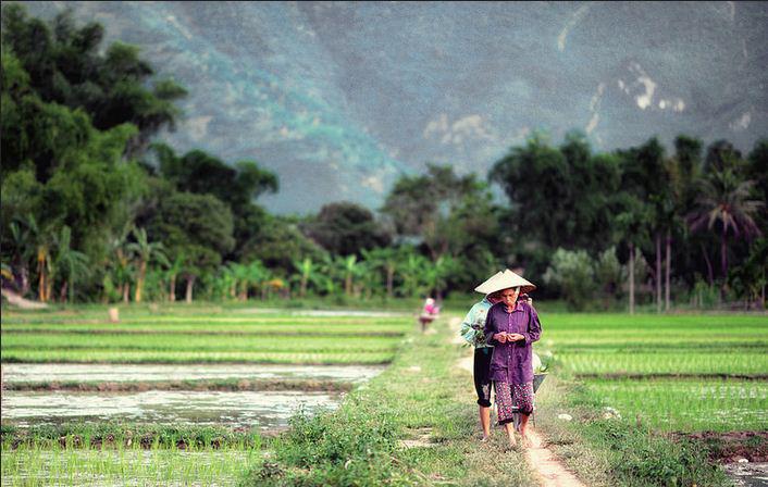 Không gian bình yên buổi sớm mai. Ảnh: Hansel and Regrettal/ flickr.com