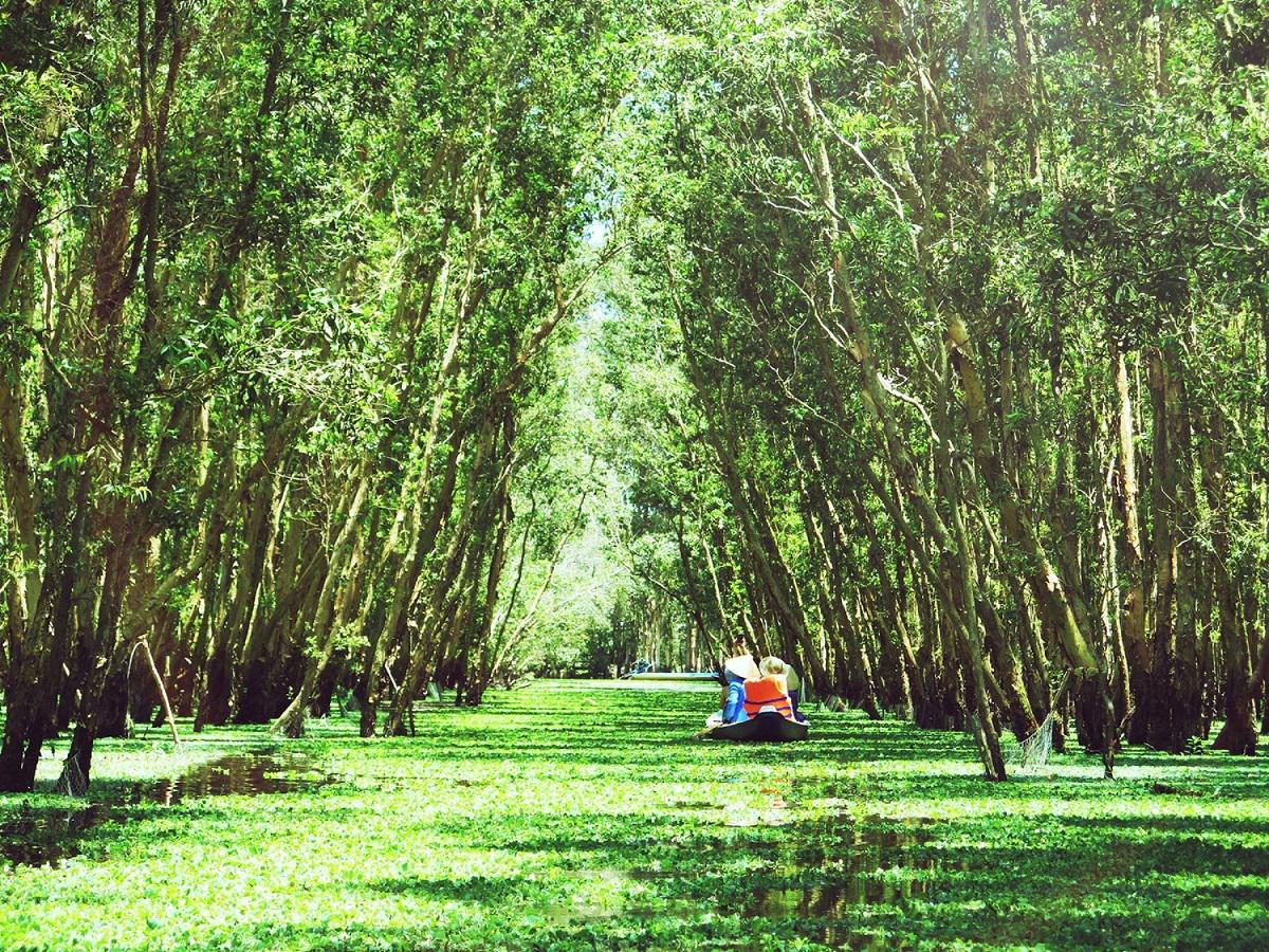 Ảnh: lifeisawhimsicalworld
