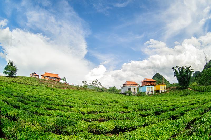 Mộc Châu Arena Village tọa lạc tại thị trấn nông trường Mộc Châu và rất thuận tiện đến các điểm du lịch nổi tiếng của Mộc Châu. Ảnh: mocchauarena.com