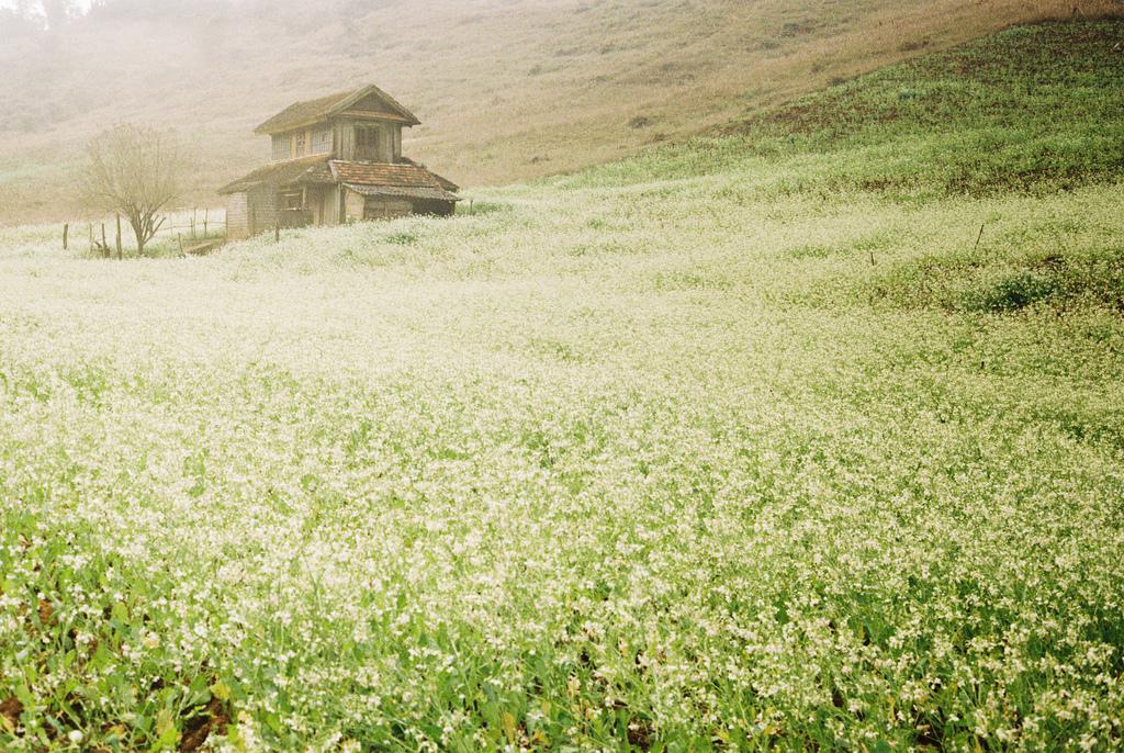 Khung cảnh tuyệt đẹp tựa như trong câu chuyện cổ tích thần tiên. Ảnh: Yen Nguyen/flickr.com