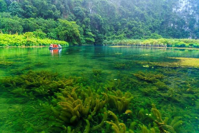Vẻ đẹp hoang sơ của Vân Long. Ảnh: ST