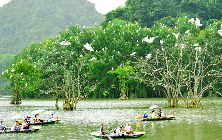 Khung cảnh bình yên ở Vườn chim Thung Nham. Ảnh: 123phuot.com