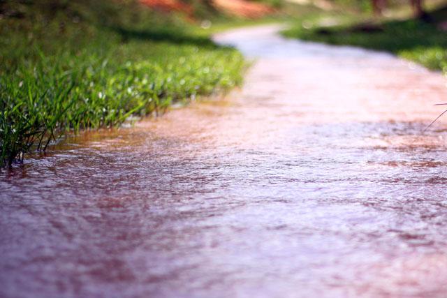 Lội bộ dưới suối rất thú vị