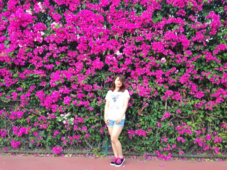 Ảnh: Romana Resort & Spa