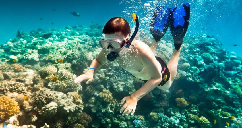 Lặn biển ngắm san hô ở Phú Quốc. Ảnh: dulichphuquocvt.com