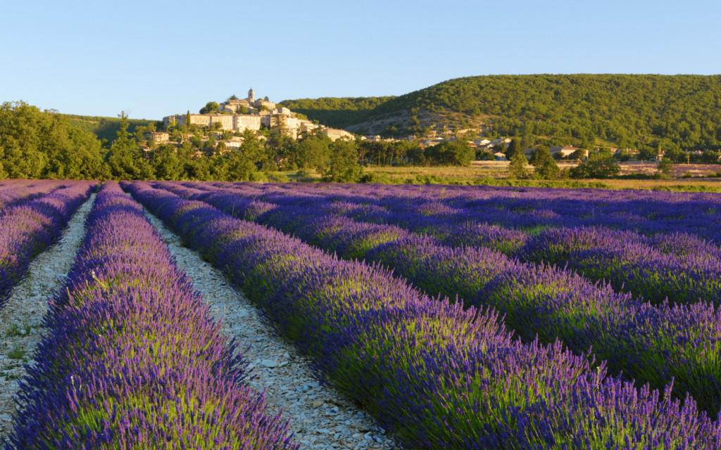 17. Provence, Pháp