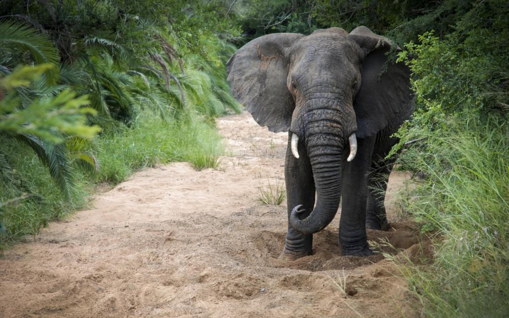 4. KwaZulu-Natal, Nam Phi