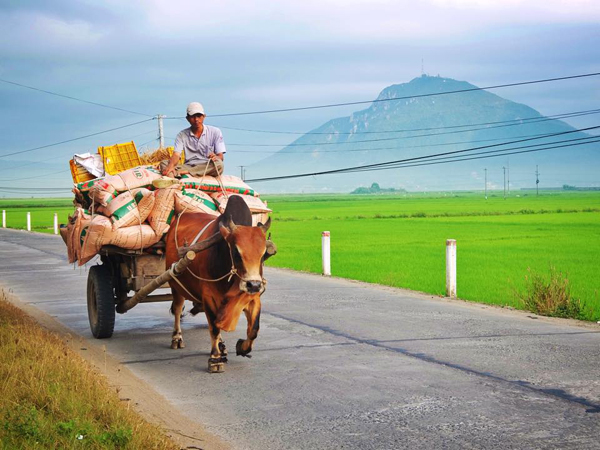 Khung cảnh bình yên, hiền hòa của đất và người Phú Yên. Ảnh: Thiện Nguyễn