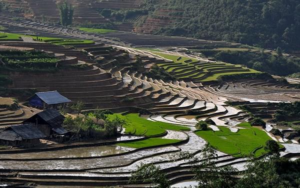 Vẻ đẹp ruộng bậc thang Tả Phìn.