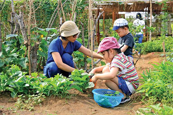 Phụ huynh và các bé tự tay hái rau, dưa leo ở Family Garden. Ảnh: Yến Trinh
