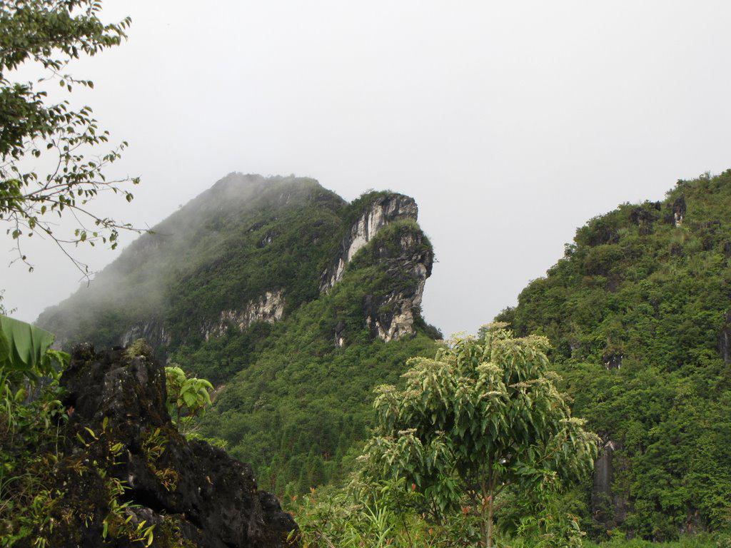 Núi Hàm Rồng.