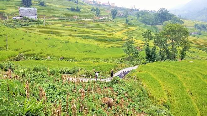 Bên cạnh những khung cảnh ngoạn mục và hùng vĩ của thiên nhiên thì đến Lao Chải - Tả Van có đi bộ mới thấy được hết nét đẹp văn hóa nơi đây.
