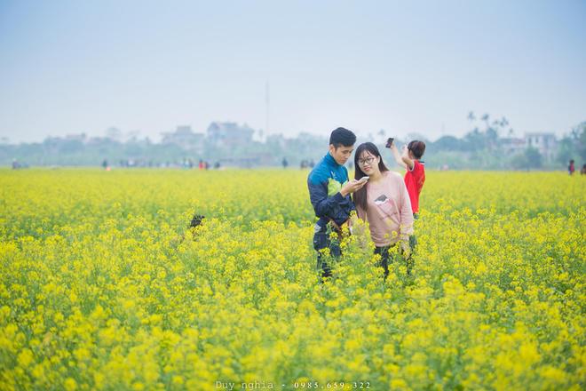 Từ trung tâm thành phố Thái Bình xuống đến thôn Hội Khê chỉ khoảng 20 km, du khách có thể dừng chân tham quan, chụp ảnh ở đồng cải đang vào mùa trổ bông.