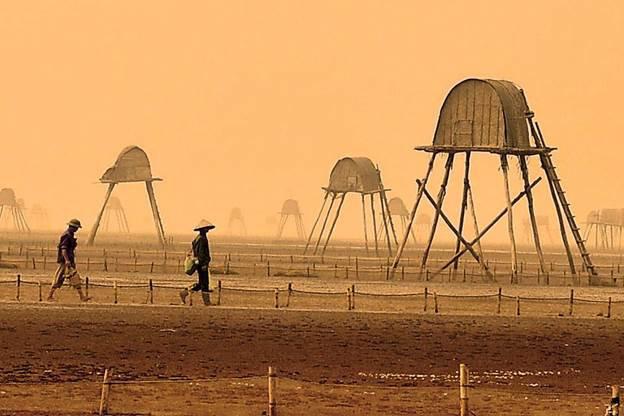 Người dân sáng sớm đã đi ra đồng bắt ngao mang ra chợ bán trước khi thủy triều lên.