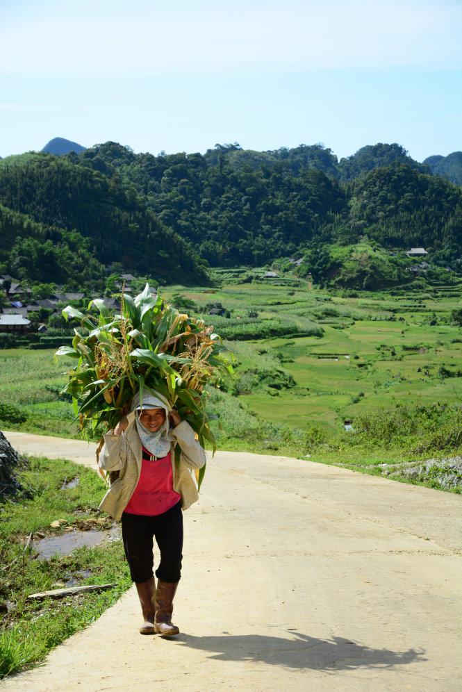 Một người dân ở Cao Sơn gùi ngô về nhà - Ảnh: Hải Dương