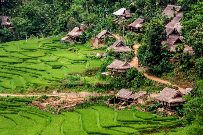 Những nếp nhà sàn nguyên sơ của người Thái tại Kho Mường - Ảnh: Thúy Quỳnh