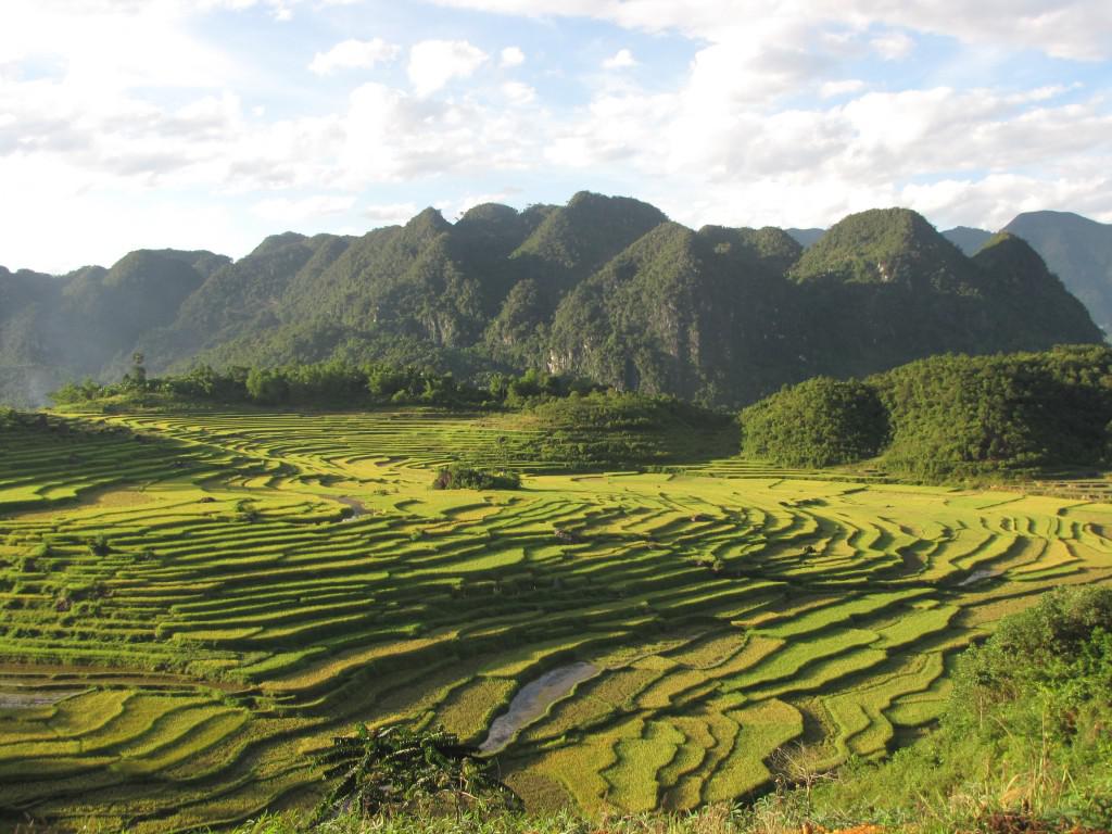 Ảnh: thanhhoa.gov
