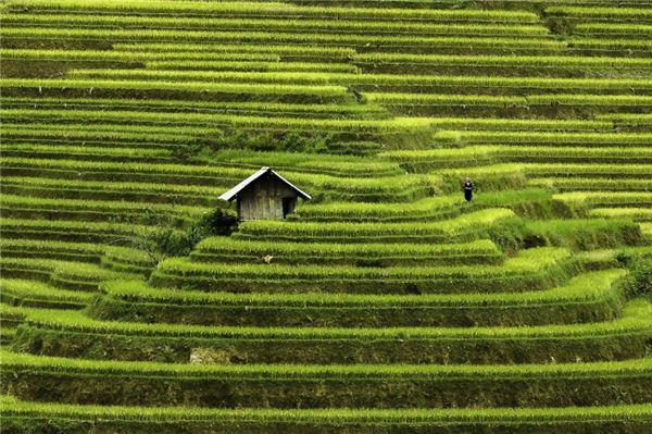 Chỉ cần một chiếc máy ảnh du lịch, du khách sẽ dễ dàng ghi lại những khung hình đẹp về ruộng bậc thang ở Mù Cang Chải.