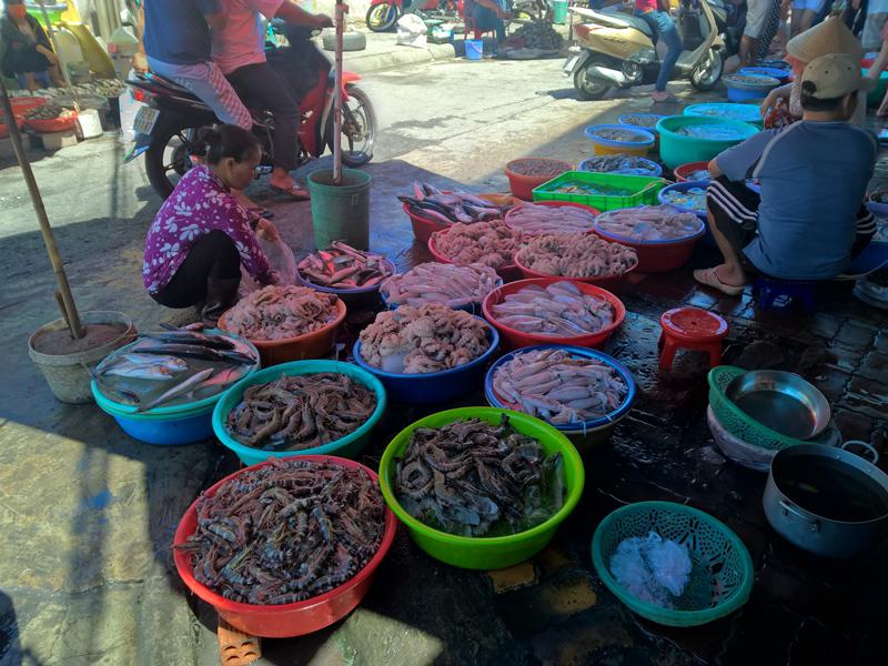 Hải sản đa dạng và nhiều vô số. Ảnh: Tiểu Duy