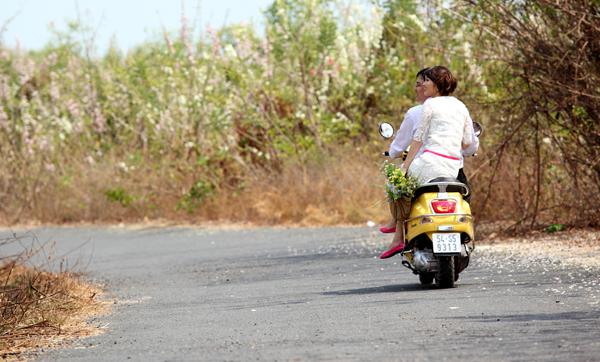 Mùa xuân năm nào cũng vậy, hoa đỗ mai nở bạt ngàn xen lẫn giữa hai màu: trắng tinh và hồng phớt. Vừa cảm nhận không khí trong lành của những làn gió biển, vừa được dịp ngắm hoa đỗ mai nở là khoảnh khắc đặc biệt của những du khách may mắn đến đúng thời điểm hoa nở rực rỡ. Ảnh: diadiemanuong