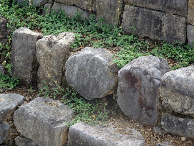 Trong số bậc đá kè thành giếng có một số khối đá hình tròn và các nhà khảo cổ vẫn đang giải mã.