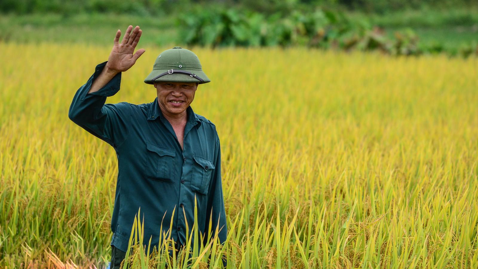 Hình ảnh gợi nhớ về chú bộ đội cụ Hồ. Miền Trung những năm chiến tranh chính là chiến trường ác liệt nhất và chịu ảnh hưởng nặng nhất. Nhiều anh hùng đã hy sinh thân mình để giữ lấy hòa bình trên mảnh đất thân thương này. Ảnh: teamBTB